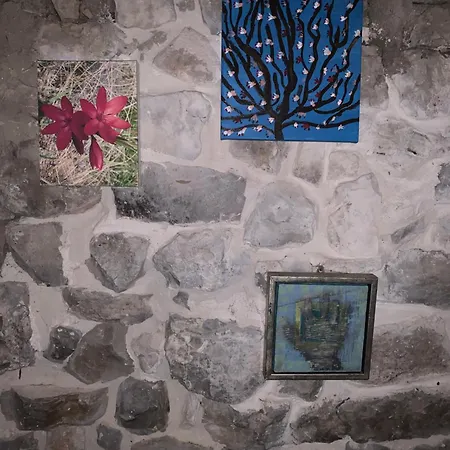 Pojata * Trebinje